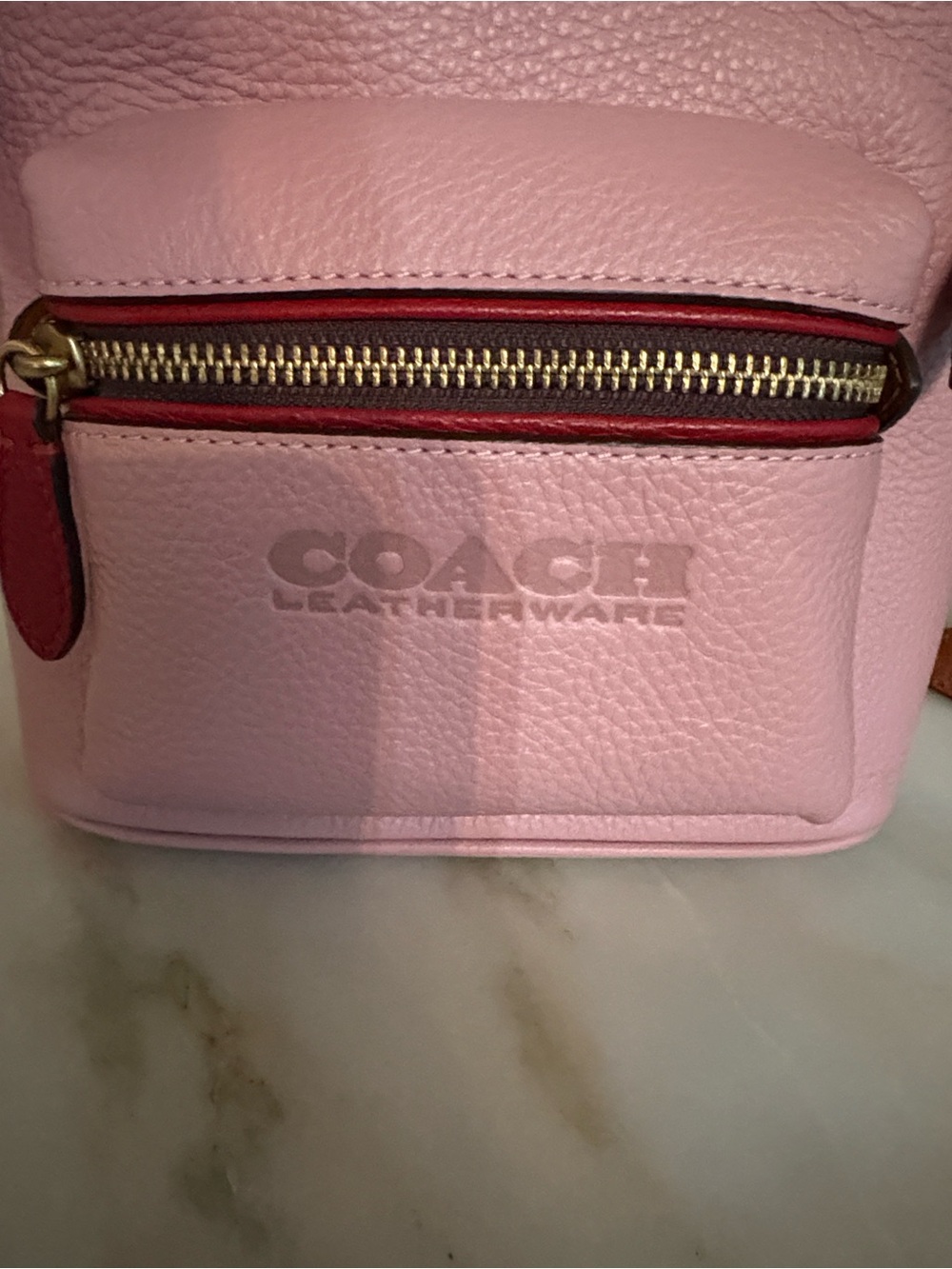 Coach Pink Leather Mini Backpack with Brown Mesh Back - Picture 3 of 5